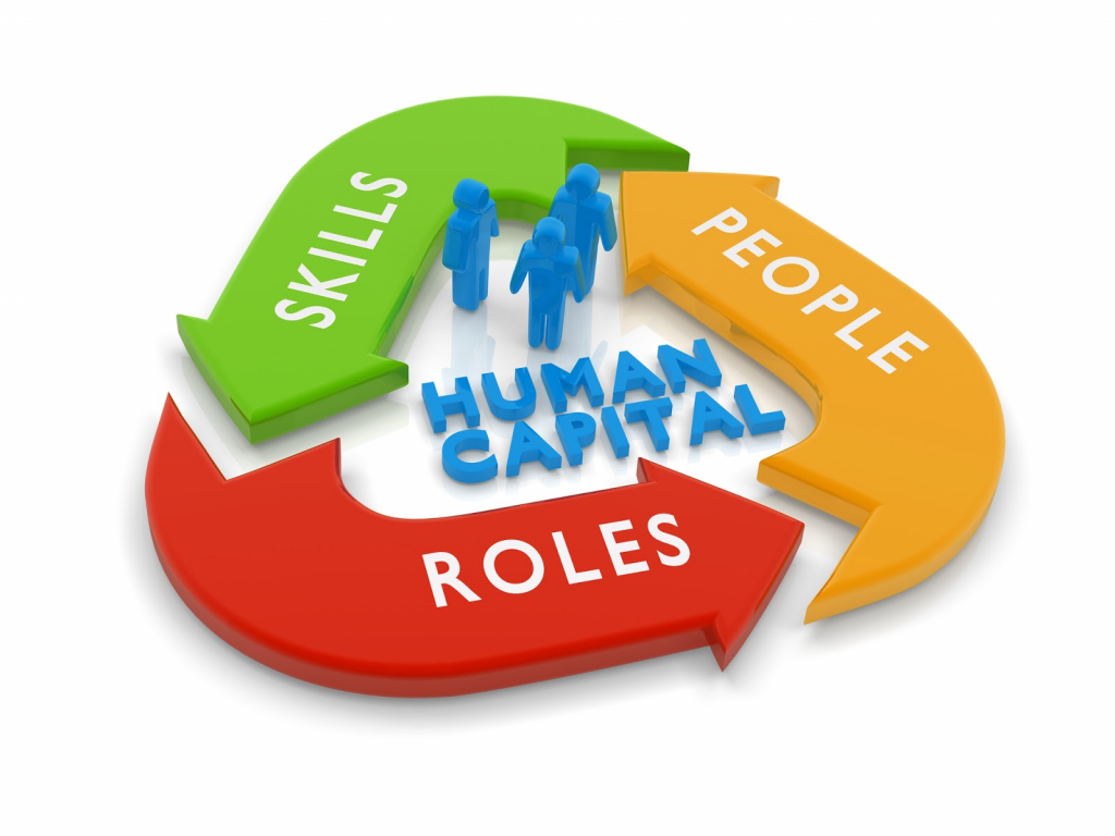 Skills People Roles in Human Capital
PMDM